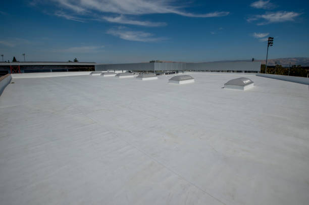Best Roof Installation  in Palmer Lake, CO