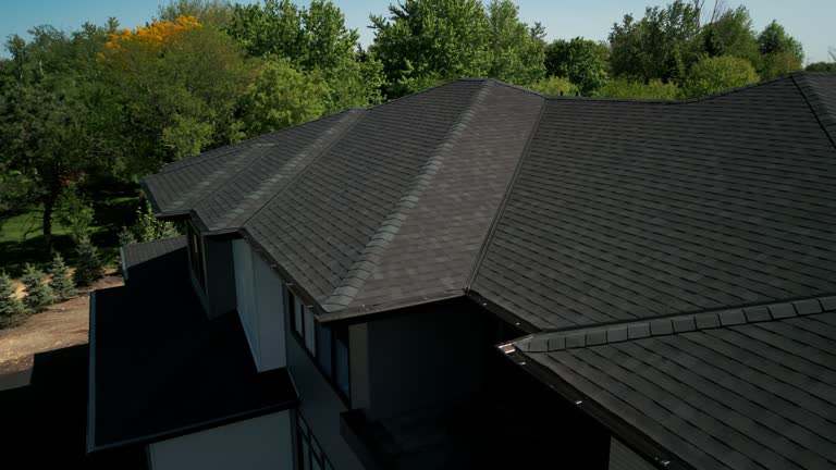 Best Emergency Roof Repair Services  in Palmer Lake, CO