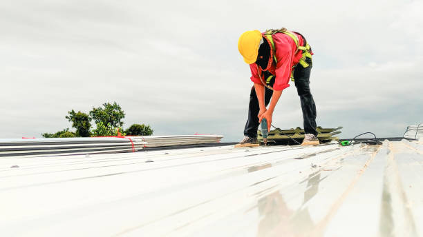 Best Wood Shake Roofing  in Palmer Lake, CO