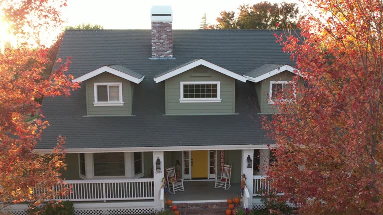  Palmer Lake, CO Roofing Service Pros