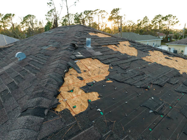 Reliable Palmer Lake, CO Roofing Service Solutions