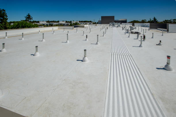 Best Roof Moss and Algae Removal  in Palmer Lake, CO